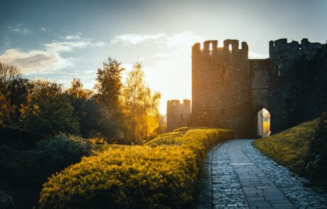 visita a corte immagine castello