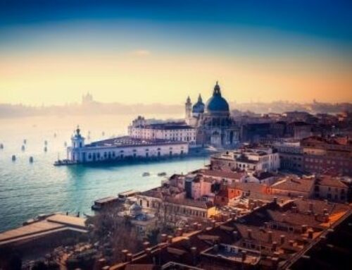 Punta della dogana Venezia